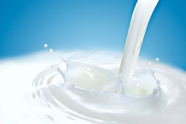 Milch-Peeling - Image 2