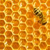 Pflegende Fußcreme mit Rosmarin und Propolis - Image 5
